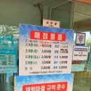고창 만돌갯벌체험 4살 아이랑 다녀온 솔직후기 준비물 꿀팁까지