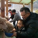 월드목장 이미지