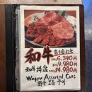 오사카 난바 야키니쿠 내돈내산 솔직 방문 후기 (메뉴 가격 정보) | 스타미나 야키니쿠 하라다