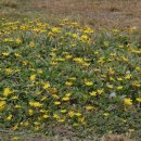 하프문베이 이미지