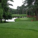 골프이야기 이미지