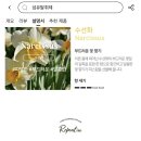 리피트인 실내 디퓨저 200ml 2개에 6,925원!!! 이미지