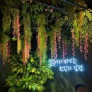 밤&술 - 보령시 | [수원] 수원역 술집 소개 | 강원도 알감자 안주 ‘술속의 밤’ 후기