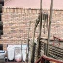 펜션궁 | [내돈내산/파주감성숙소] 이국적인 수영장 풀빌라 펜션 &#34;중휴림 테마궁 밤부존&#34;후기