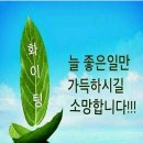 엘림들깨수제비 이미지