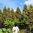 피트니스라이프(더무브먼트랩) 이미지