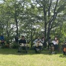 산책하다 이미지