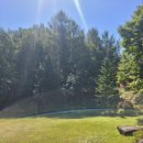 천주섭리수녀회 이미지