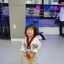 리더스태권도 이미지