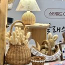 위빙포레 네이버블로그