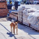 대한철물 이미지