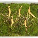 산양농장 이미지