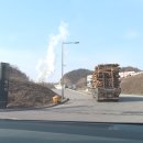 주식회사 나무 이미지