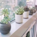 군산금탑공인중개사사무소 이미지