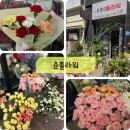 청수동꽃집 어버이날 카네이션 추천 꽃집 준플라워