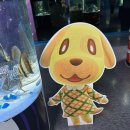 (주)비버판넬 | 코엑스 아쿠아리움x모여봐요 동물의 숲 콜라보 후기