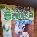 플레이정글
