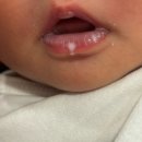 돌봐줄개 | [미래산후조리원] 조리원 2주 이용후기/ 지루한가 했는데 눈깜빡하니 퇴소날🙂