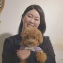 아지스테이션 네이버블로그