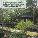 명원박물관 | 차담 by 갤러리더스퀘어 국민대학교 명원박물관 카페