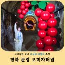 테마투어(농어촌 체험) | 문경 오미자테마터널 후기 아이와 가볼만한곳 투어패스 꿀팁 총정리