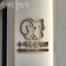 수색동물병원 | 은평구 수색동 동물병원 수색동물병원 진료시간 접근성 이용후기