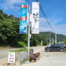 세종 훼미리랜드 수영장 이미지