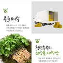 새싹슈퍼