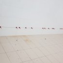 양덕동400 이미지