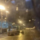 튤립세탁소 | 🇻🇳호치민여행1 : 쌀국수맛집/슬리핑버스/무이네/뱀부리조트