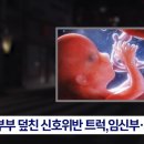 트럭 신호위반 사고에 산모·태아 숨졌지만 ‘사망자’ 1명? 이미지