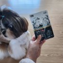 경기한펫 이미지