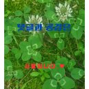 중동103 | 창원 중동 맛집 전남친순대 방문 후기