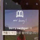 언더비 이미지