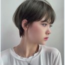 탐헤어 - 서구 | 탐헤어