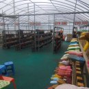 힐링황토집 이미지