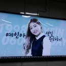 예인광고 Daum카페