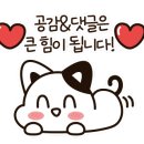 자담치킨수원 이미지