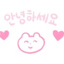 아이러빗 이미지