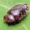 (주)생물나라 이미지