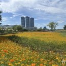 낙동강관리본부 화명생태공원 5 이미지