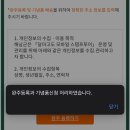 달마고도 | 블랙야크 100대 명산 달마산 등산 + 달마고도 완주 후기 | 해남 둘레길 트레킹 코스 추천