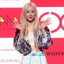 솔지