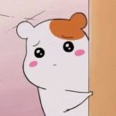 라비브 이미지