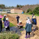 전라남도 농기계임대사업소(칠량분점) | [정치포커스] 강진군, 초보 농사꾼 위한 농기계 교육 실시