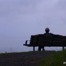 첼로 (행복한 첼로) 이미지