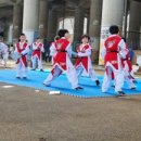 금빛호수 태권도 이미지
