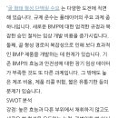골형성단백질치료-BMP 이미지