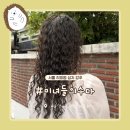 [화곡역] '미녀들의 수다' 서울히피펌 성지 / 강서구 미용실 추천