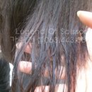 가위전설 이미지